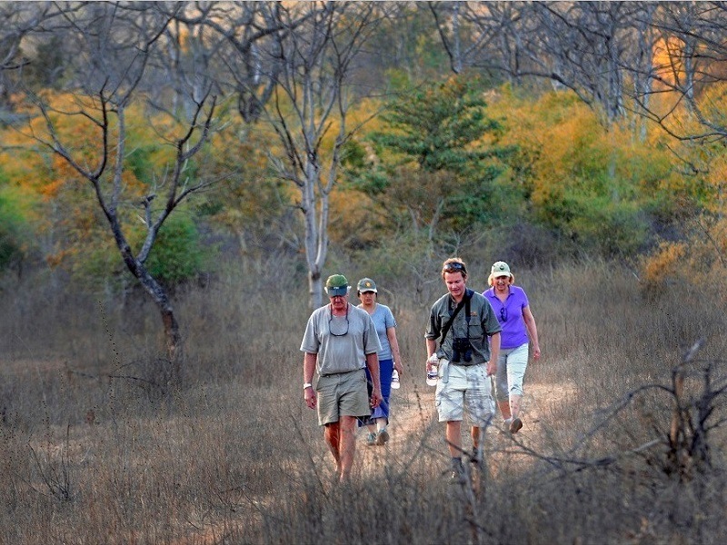  2 Nights and 3 Days Tour Package Of Satpura National Park  