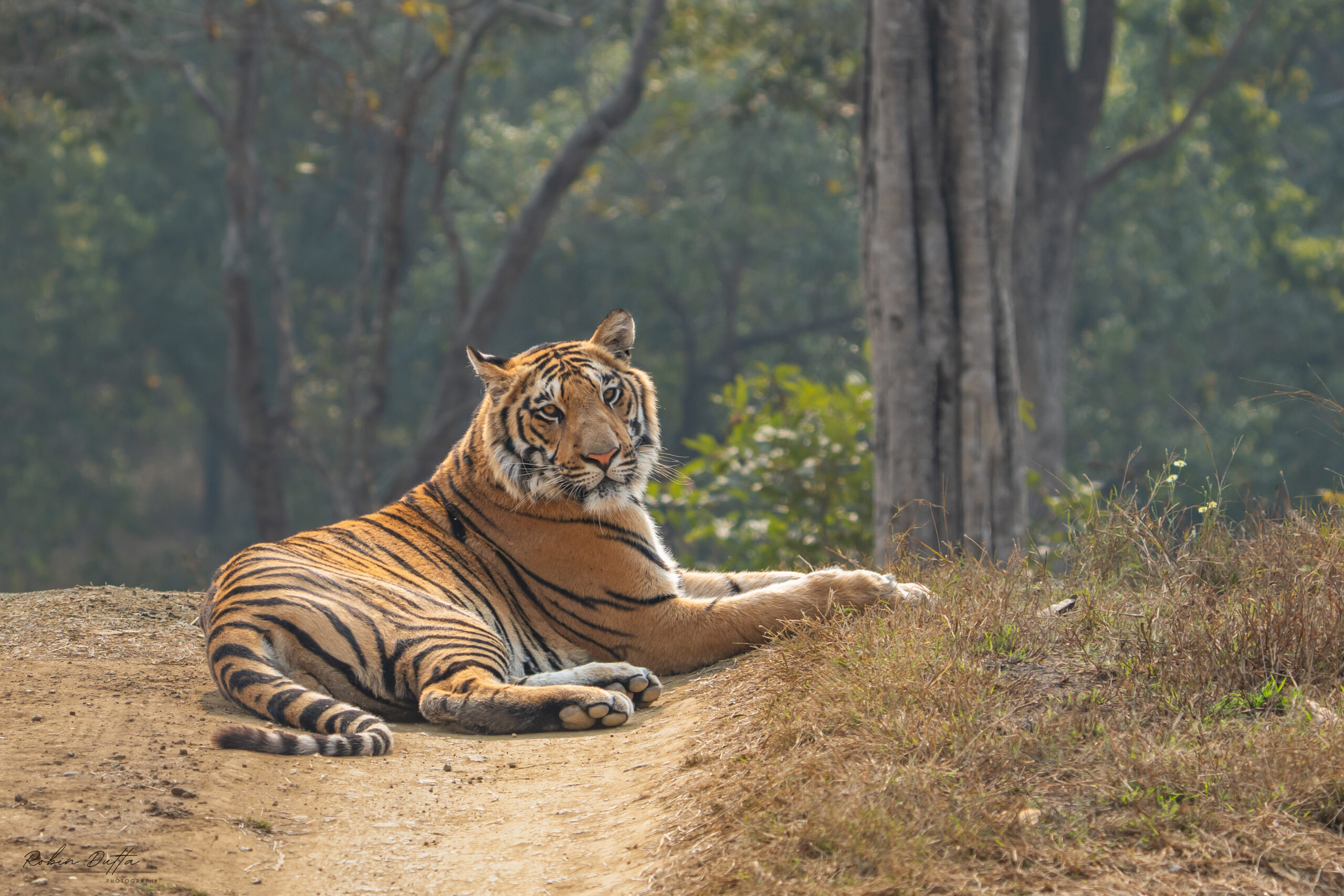  2 Nights and 3 Days Tour Package Of Satpura National Park  