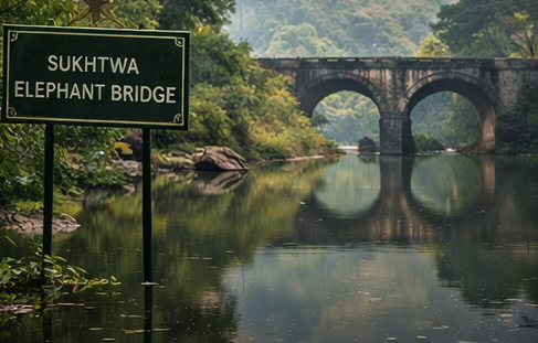 4 Nights and 5 Days Tour Package Of Satpura National Park