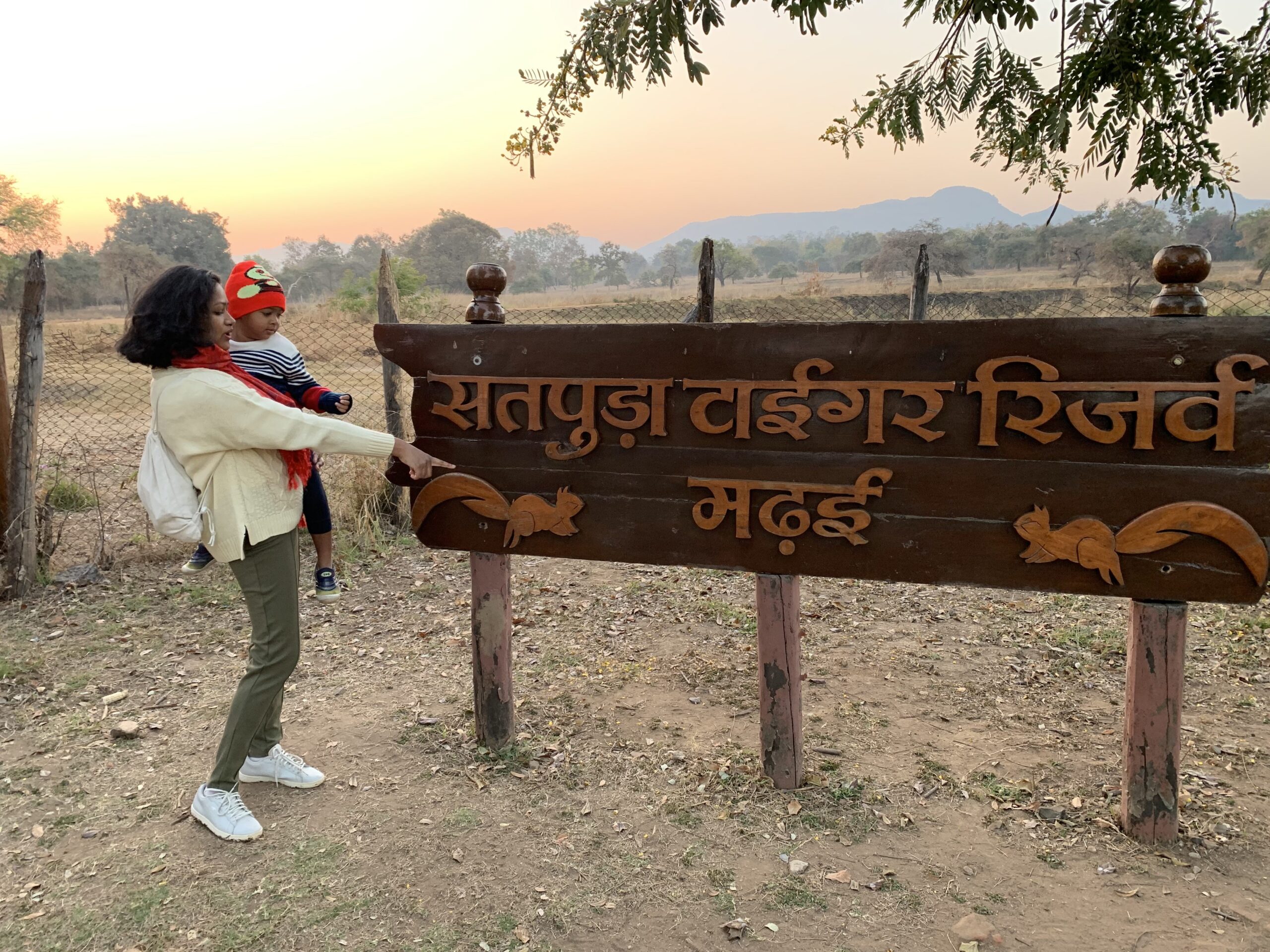 Ready for Your Satpura National Park Safari Booking?