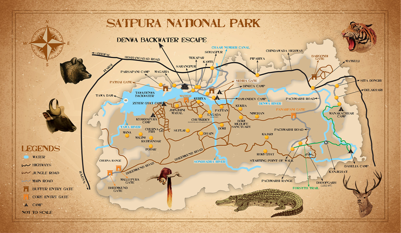 Know Satpura National Park Zones For Best Safari Experience
