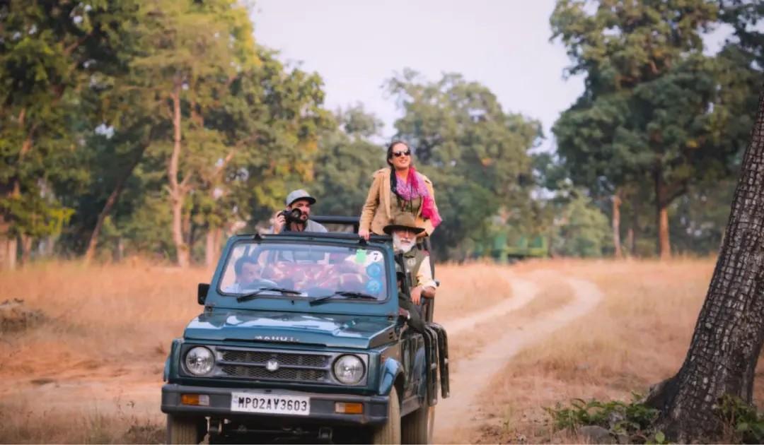 Satpura Jeep Safari Booking For Solo Travellers