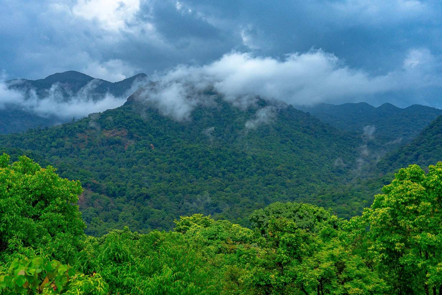 Visit The Land Of Seven Hills With Satpura Online Safari Booking