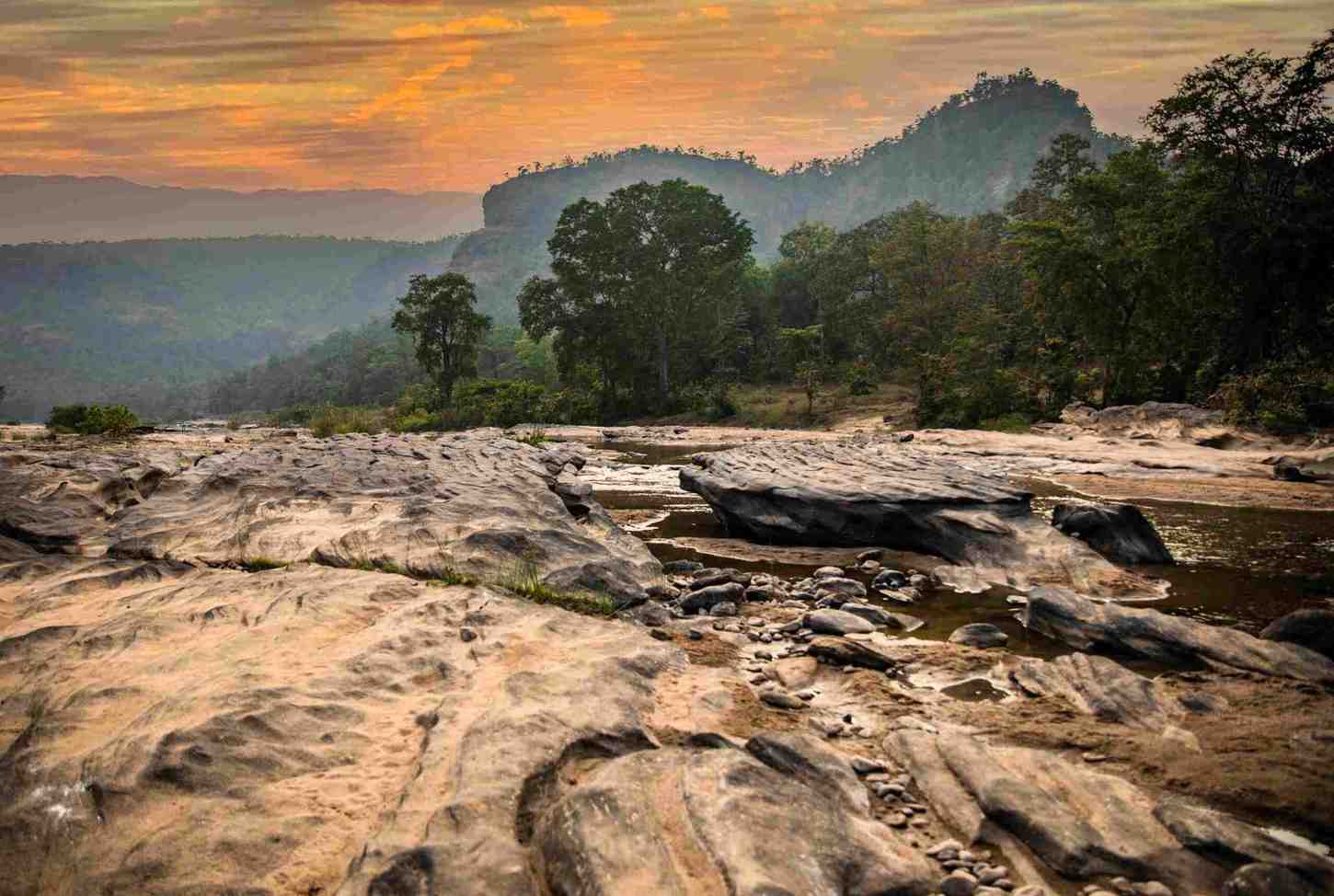 Walk In Satpura National Park That Has Charmed A Poet