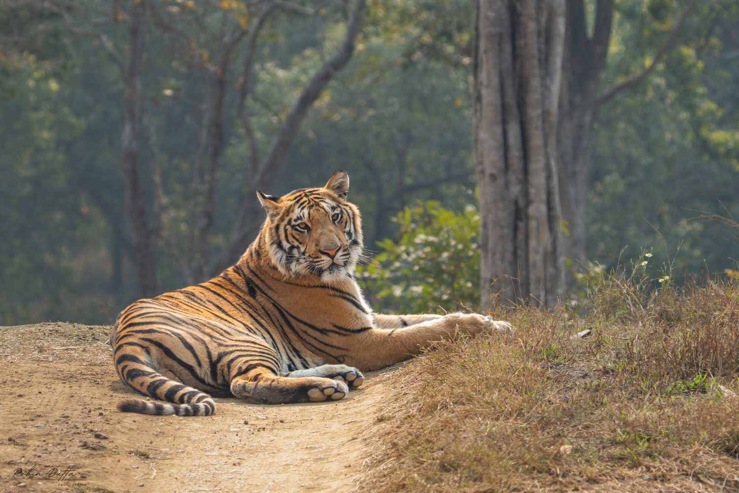 Important Updates You Should Know Before You Plan To Visit Satpura