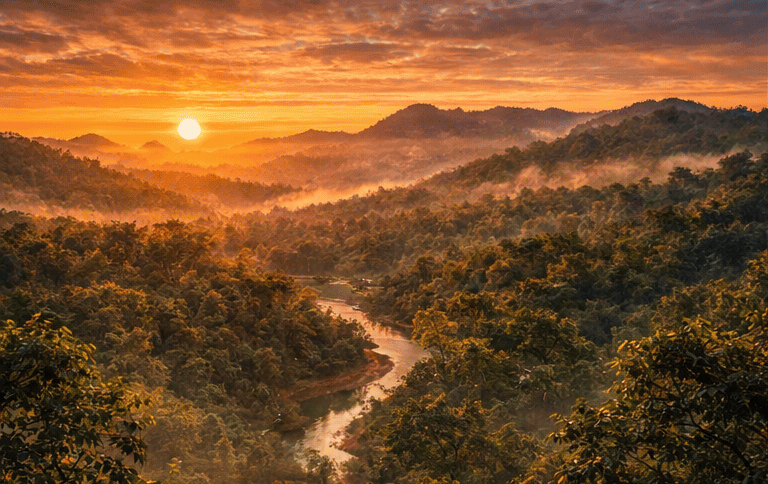 Full Day of Jungle Adventure with Double Safari